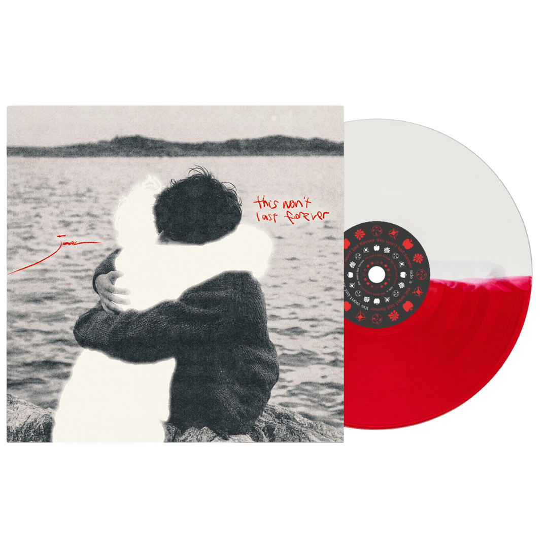 'this won't last forever' 12" Vinyl [PRE-ORDER]
